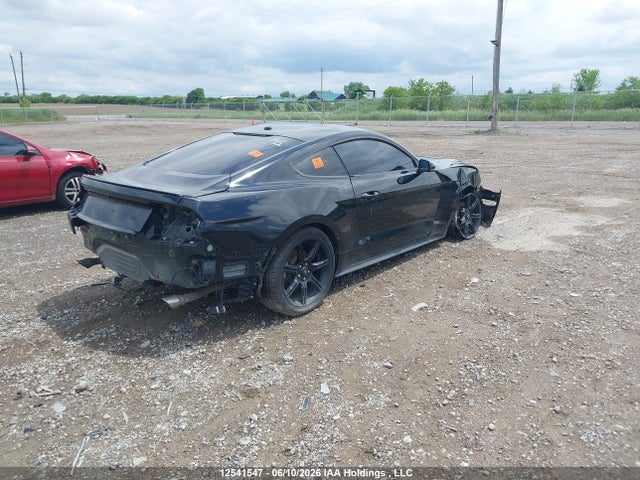 Продаж на аукціоні авто 2019 Ford Mustang Ecoboost Premium, vin: 1FA6P8TH3K5164358, номер лоту: 12541547