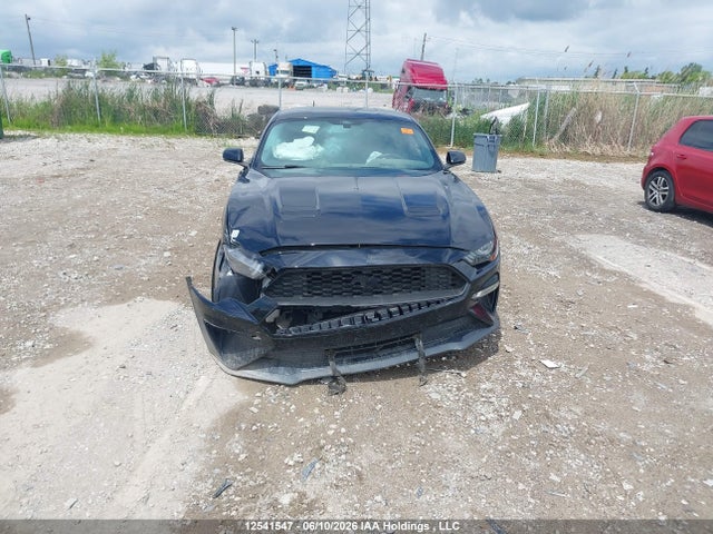 Продаж на аукціоні авто 2019 Ford Mustang Ecoboost Premium, vin: 1FA6P8TH3K5164358, номер лоту: 12541547