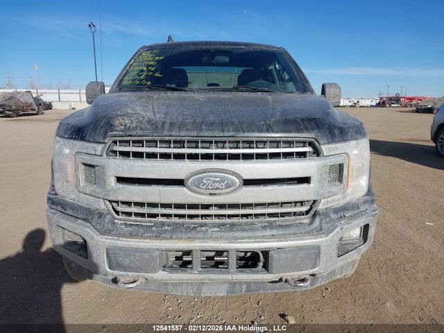 Ford F-150 Xlt 2019 1FTEW1EP4KKE71656 Image 13