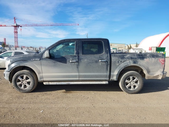 Ford F-150 Xlt 2019 1FTEW1EP4KKE71656 Image 15