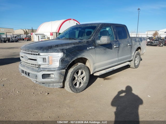 Ford F-150 Xlt 2019 1FTEW1EP4KKE71656 Image 2