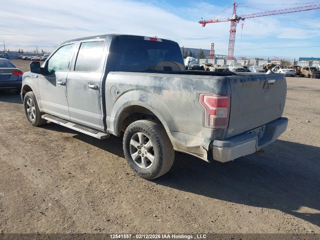 Ford F-150 Xlt 2019 1FTEW1EP4KKE71656 Image 3