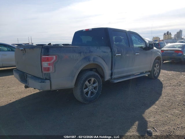 Ford F-150 Xlt 2019 1FTEW1EP4KKE71656 Image 4