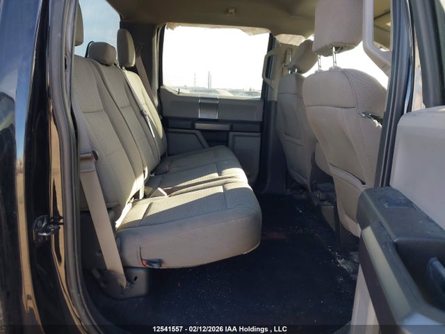 Ford F-150 Xlt 2019 1FTEW1EP4KKE71656 Image 8