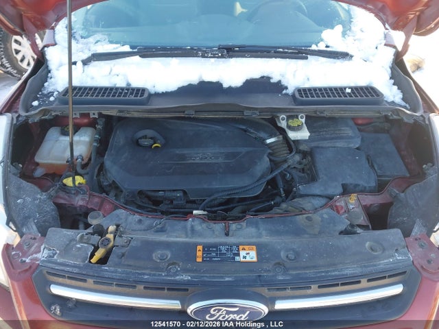 12541570 :رقم المزاد ، 1FMCU0GX1EUC25446 vin ، 2014 Ford Escape Se مزاد بيع