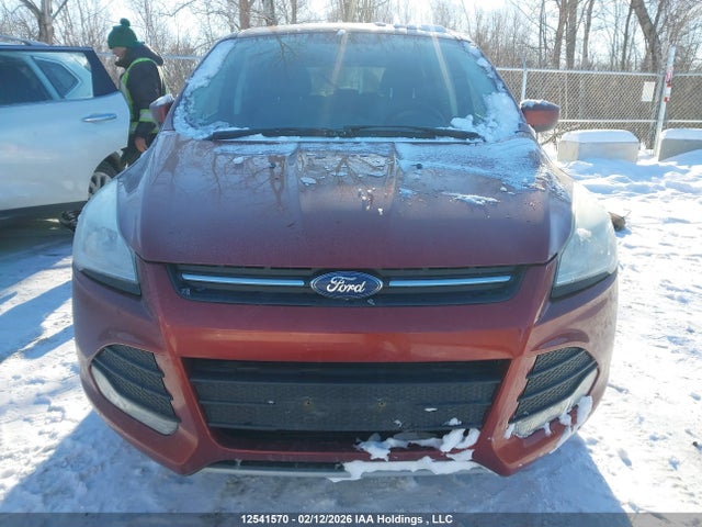 12541570 :رقم المزاد ، 1FMCU0GX1EUC25446 vin ، 2014 Ford Escape Se مزاد بيع