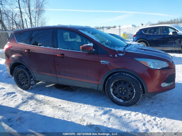 12541570 :رقم المزاد ، 1FMCU0GX1EUC25446 vin ، 2014 Ford Escape Se مزاد بيع