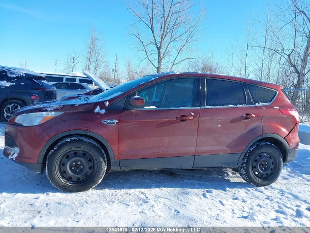 12541570 :رقم المزاد ، 1FMCU0GX1EUC25446 vin ، 2014 Ford Escape Se مزاد بيع