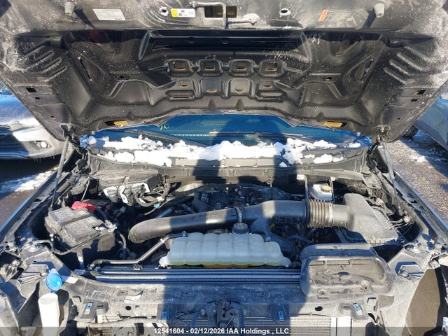 1FTFW3L84SKE61169 Ford F150 Xlt