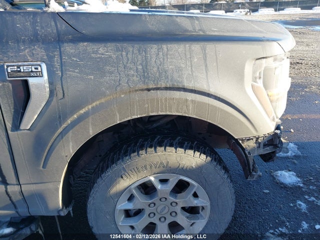 1FTFW3L84SKE61169 Ford F150 Xlt