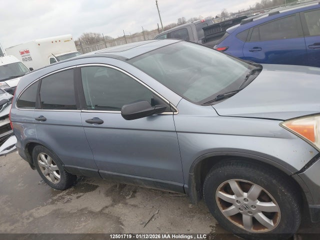 12501719 :رقم المزاد ، 5J6RE485X9L805056 vin ، 2009 Honda Cr-v Ex مزاد بيع