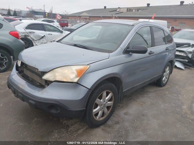 12501719 :رقم المزاد ، 5J6RE485X9L805056 vin ، 2009 Honda Cr-v Ex مزاد بيع