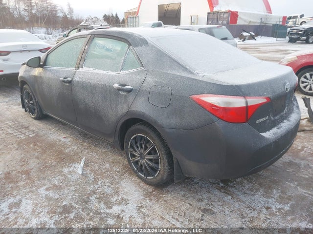 2T1BURHE7GC568070 Toyota COROLLA LE