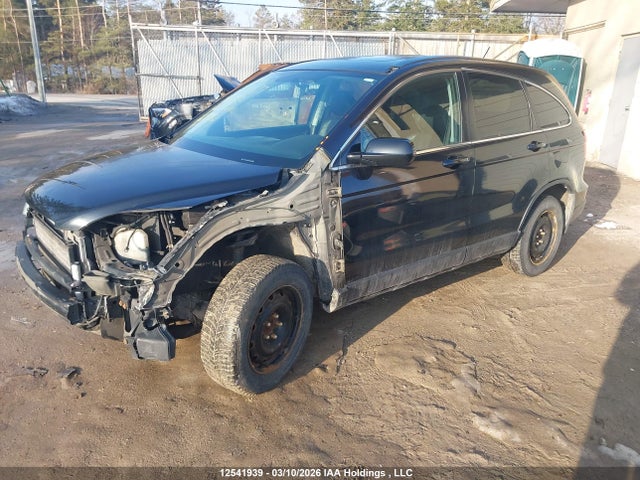 Aukcja sprzedaży 2007 Honda Cr-v Ex-l, vin: 5J6RE48797L802664, numer aukcji: 12541939