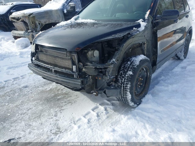 Aukcja sprzedaży 2007 Honda Cr-v Ex-l, vin: 5J6RE48797L802664, numer aukcji: 12541939