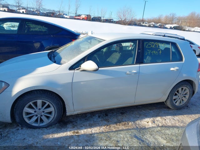 3VW217AU9FM074407 Volkswagen Golf 1.8 Tsi Comfortline/1.8 Tsi Highline/1.8 Tsi Trendline