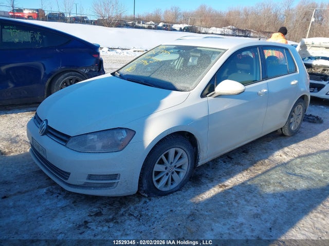 3VW217AU9FM074407 Volkswagen Golf 1.8 Tsi Comfortline/1.8 Tsi Highline/1.8 Tsi Trendline