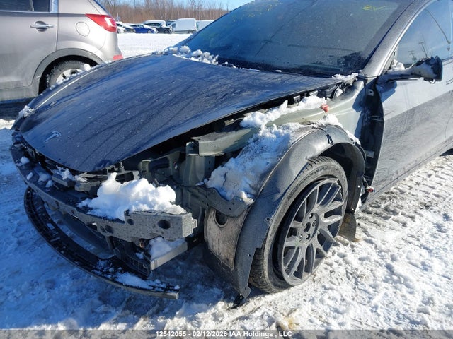 Продажа на аукционе авто 2025 Tesla Model 3 Long Range, vin: 5YJ3E1EB4SF883295, номер лота: 12542055
