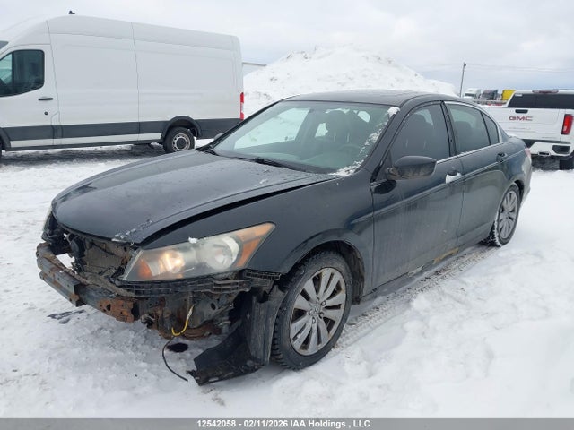 12542058 :رقم المزاد ، 1HGCP3F8XCA800621 vin ، 2012 Honda Accord Exl مزاد بيع