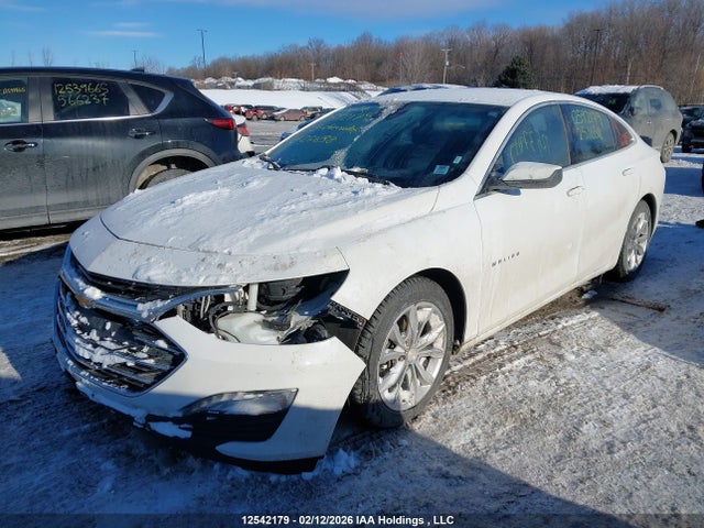 1G1ZD5ST3PF251658 Chevrolet MALIBU 1LT