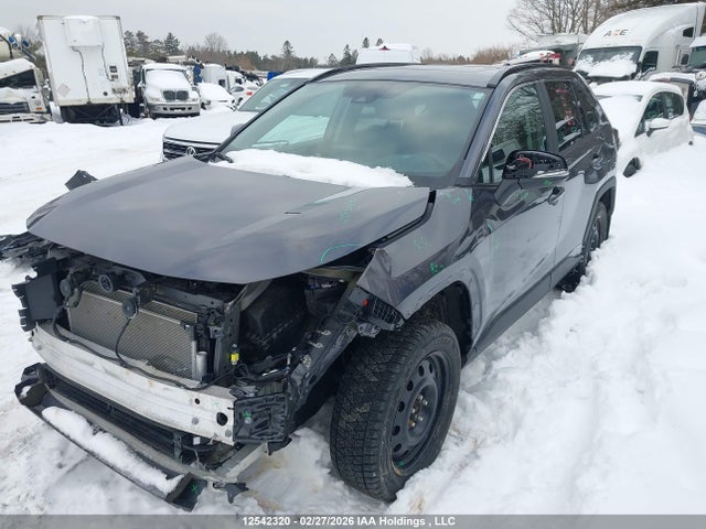 2T3RWRFV6PW163724 Toyota Rav4 Xle/woodland Edition