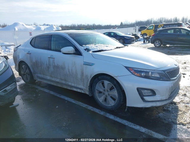 KNAGN4AD8G5099377 KIA Optima