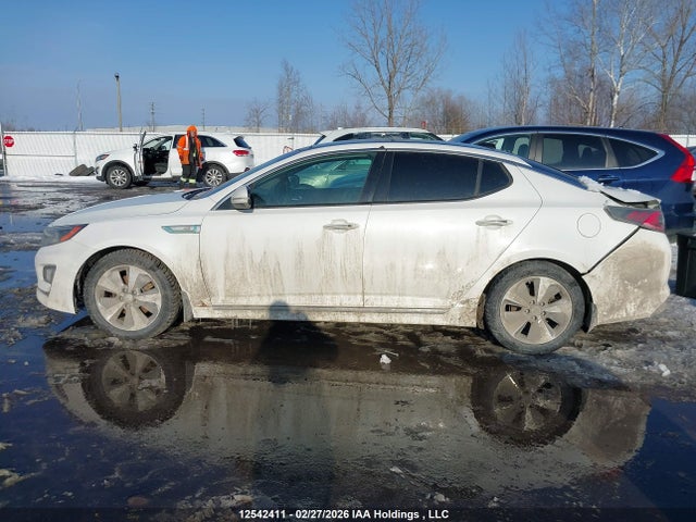 KNAGN4AD8G5099377 KIA Optima
