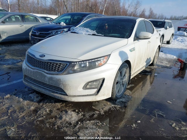 KNAGN4AD8G5099377 KIA Optima