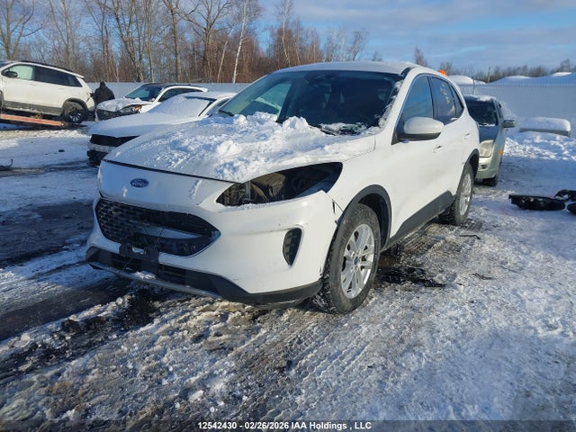 1FMCU9G65MUA71592 Ford ESCAPE SE