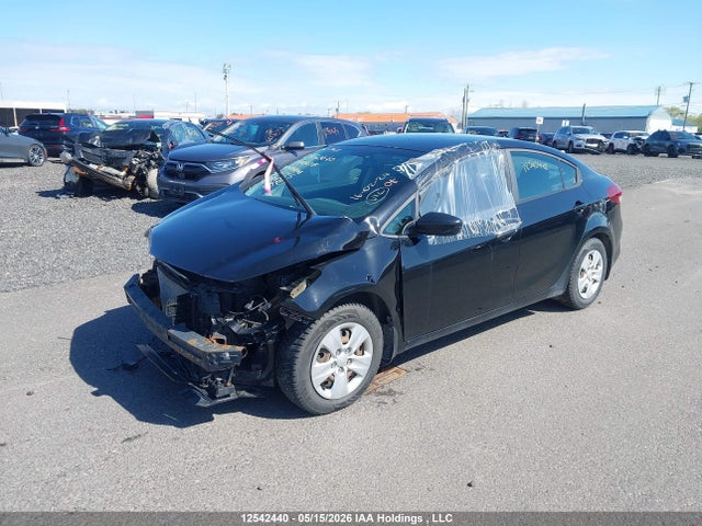 Продаж на аукціоні авто 2017 Kia Forte, vin: 3KPFL4A77HE094868, номер лоту: 12542440