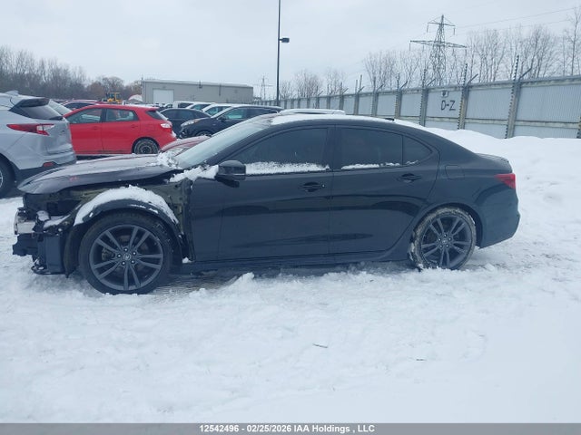 19UUB1F65KA801132 Acura Tlx Tech A-spec