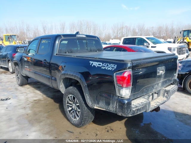 5TFDZ5BN6LX048241 Toyota Tacoma