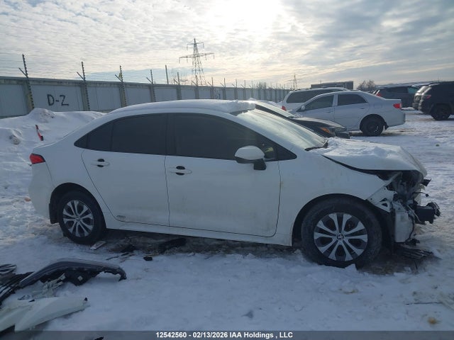 JTDBDMHE2P3003253 Toyota Corolla Hybrid Le