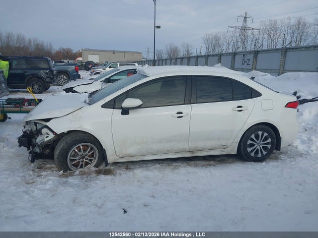 JTDBDMHE2P3003253 Toyota Corolla Hybrid Le