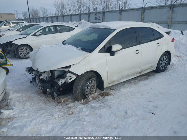 JTDBDMHE2P3003253 Toyota Corolla Hybrid Le