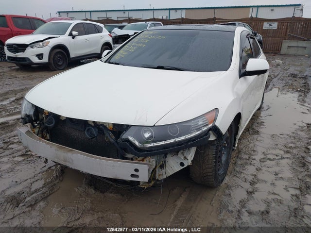 2009 Acura Tsx მანქანა იყიდება აუქციონზე, vin: JH4CU256X9C800809, აუქციონის ნომერი: 12542577