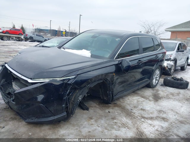 2HKRS4H75RH105661 Honda CR-V EXL