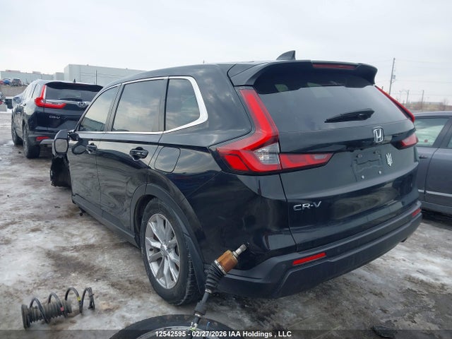 2HKRS4H75RH105661 Honda CR-V EXL
