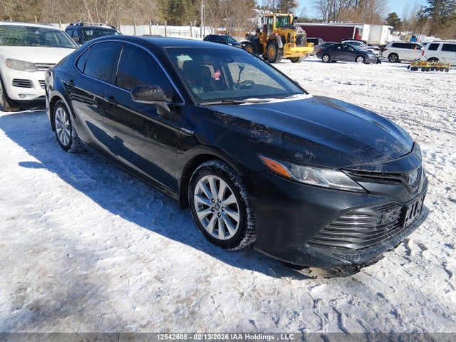 4T1B31HK0JU503349 Toyota CAMRY LE