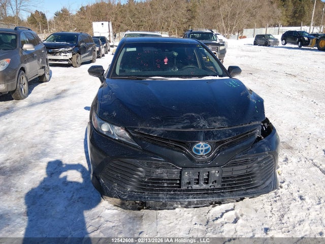 4T1B31HK0JU503349 Toyota CAMRY LE
