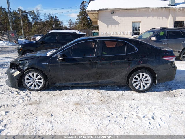 4T1B31HK0JU503349 Toyota CAMRY LE