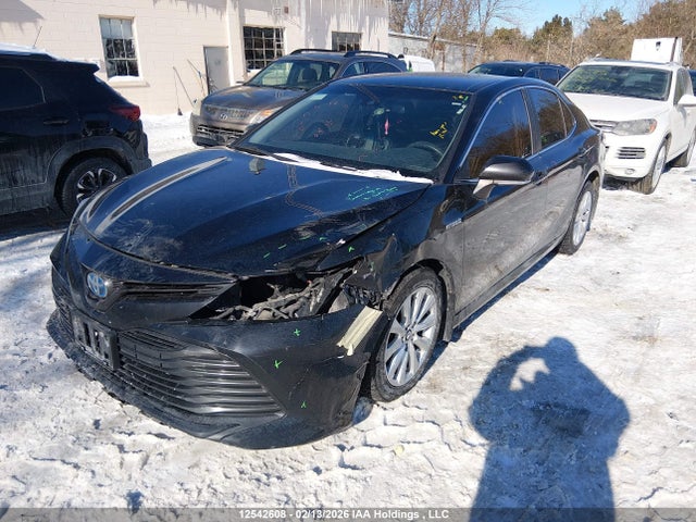 4T1B31HK0JU503349 Toyota CAMRY LE