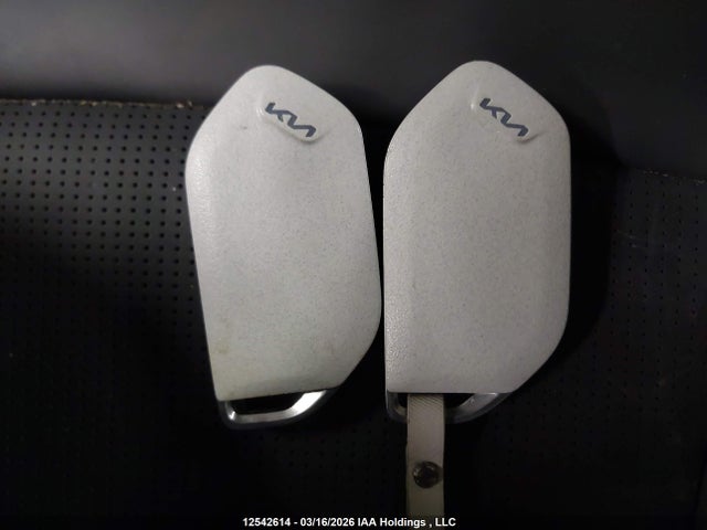 KNDAFFS54R6042812 KIA Ev9 Wind
