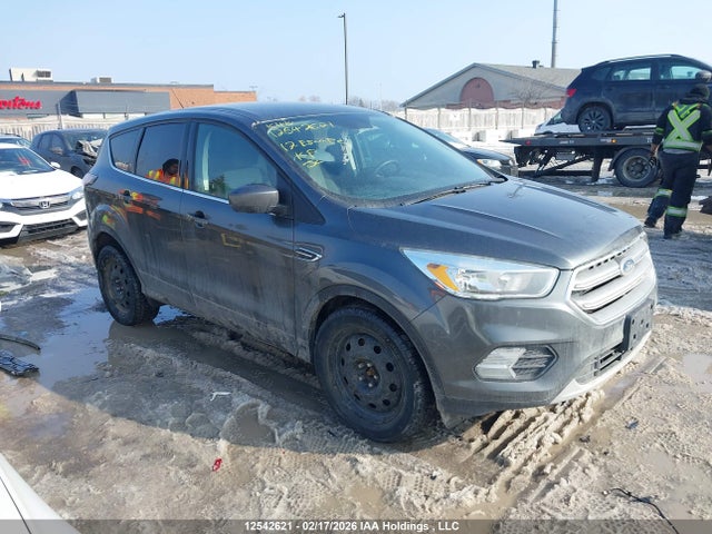 1FMCU0G96HUA66087 Ford Escape