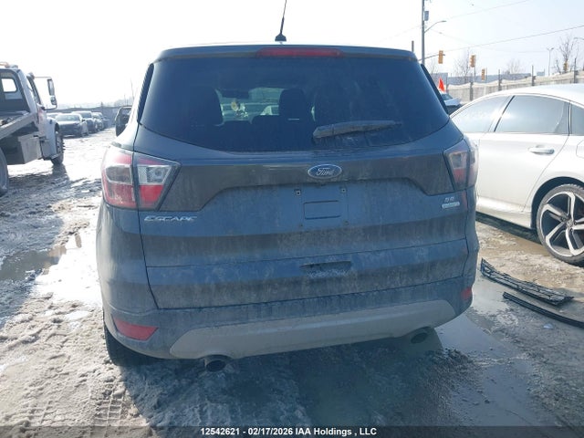 1FMCU0G96HUA66087 Ford Escape