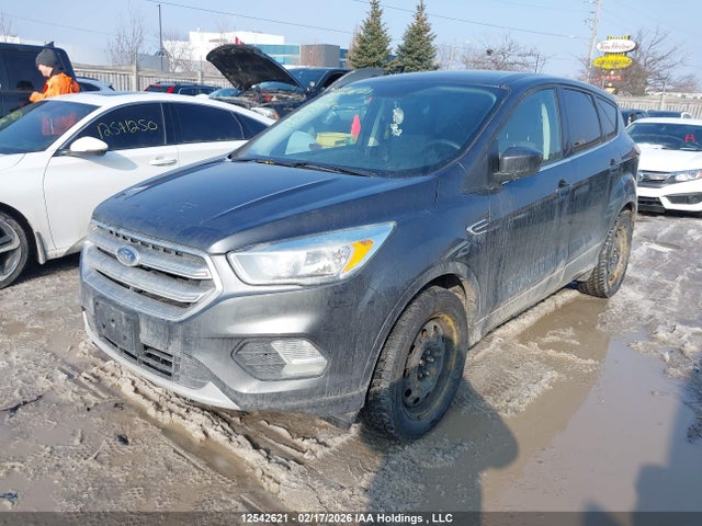 1FMCU0G96HUA66087 Ford Escape