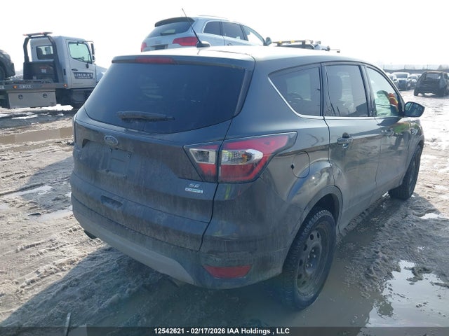 1FMCU0G96HUA66087 Ford Escape