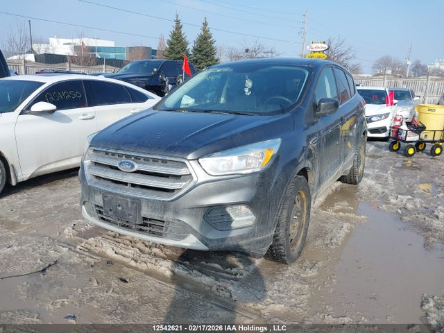 1FMCU0G96HUA66087 Ford Escape