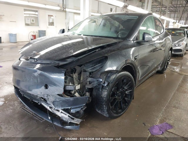 Aukcja sprzedaży 2024 Tesla Model Y, vin: 7SAYGDEE2RF088948, numer aukcji: 12542660