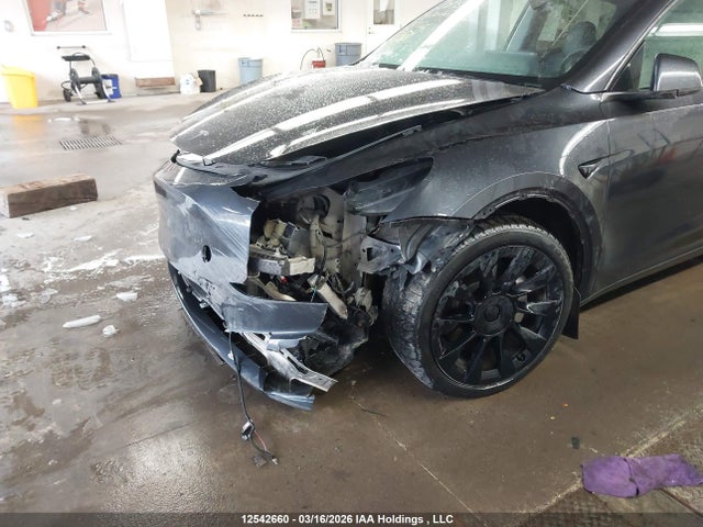Aukcja sprzedaży 2024 Tesla Model Y, vin: 7SAYGDEE2RF088948, numer aukcji: 12542660